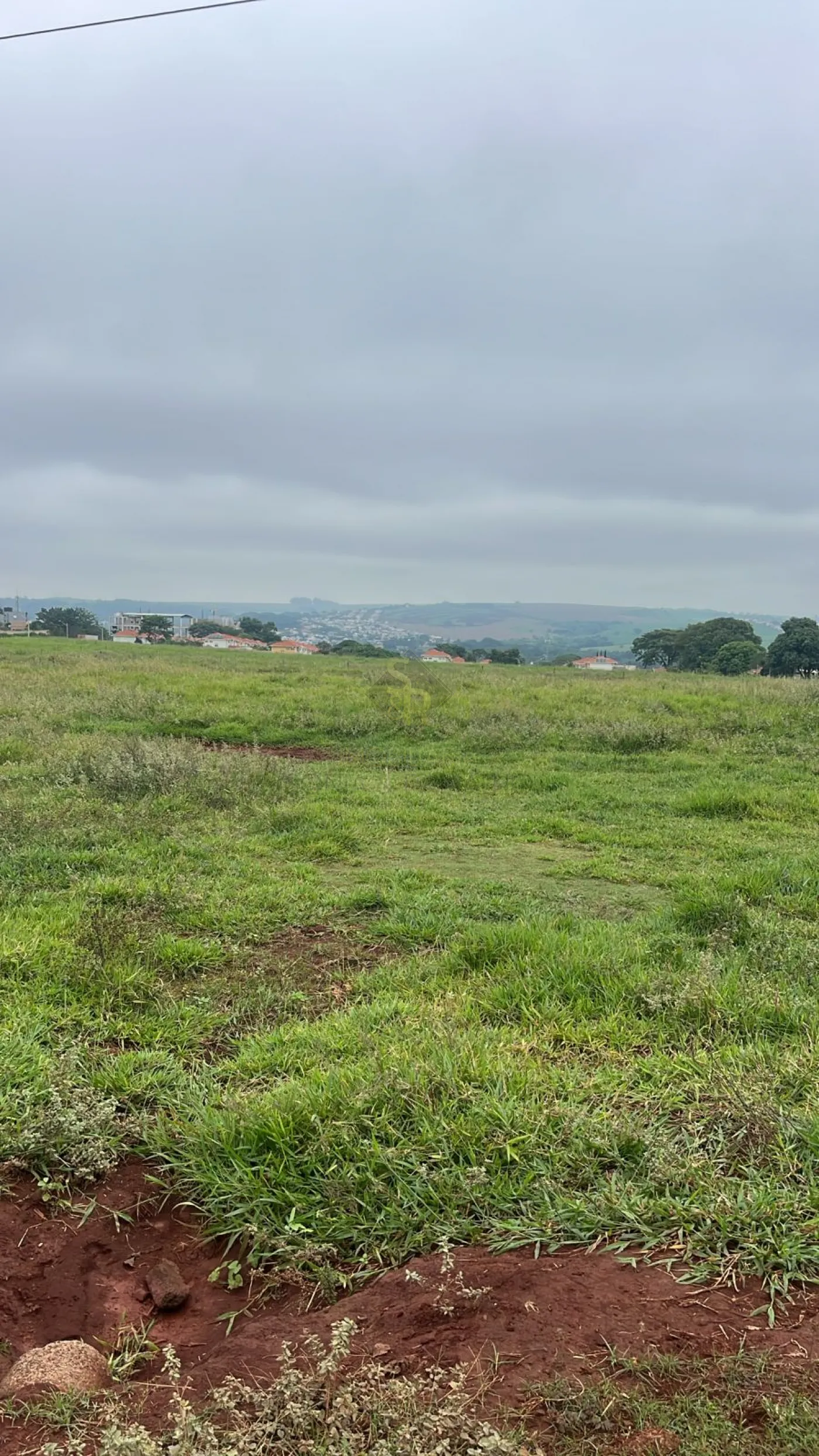 Comprar Terrenos / LoteTerreno em Bonfim Paulista R$ 24.000.000,00 - Foto 6