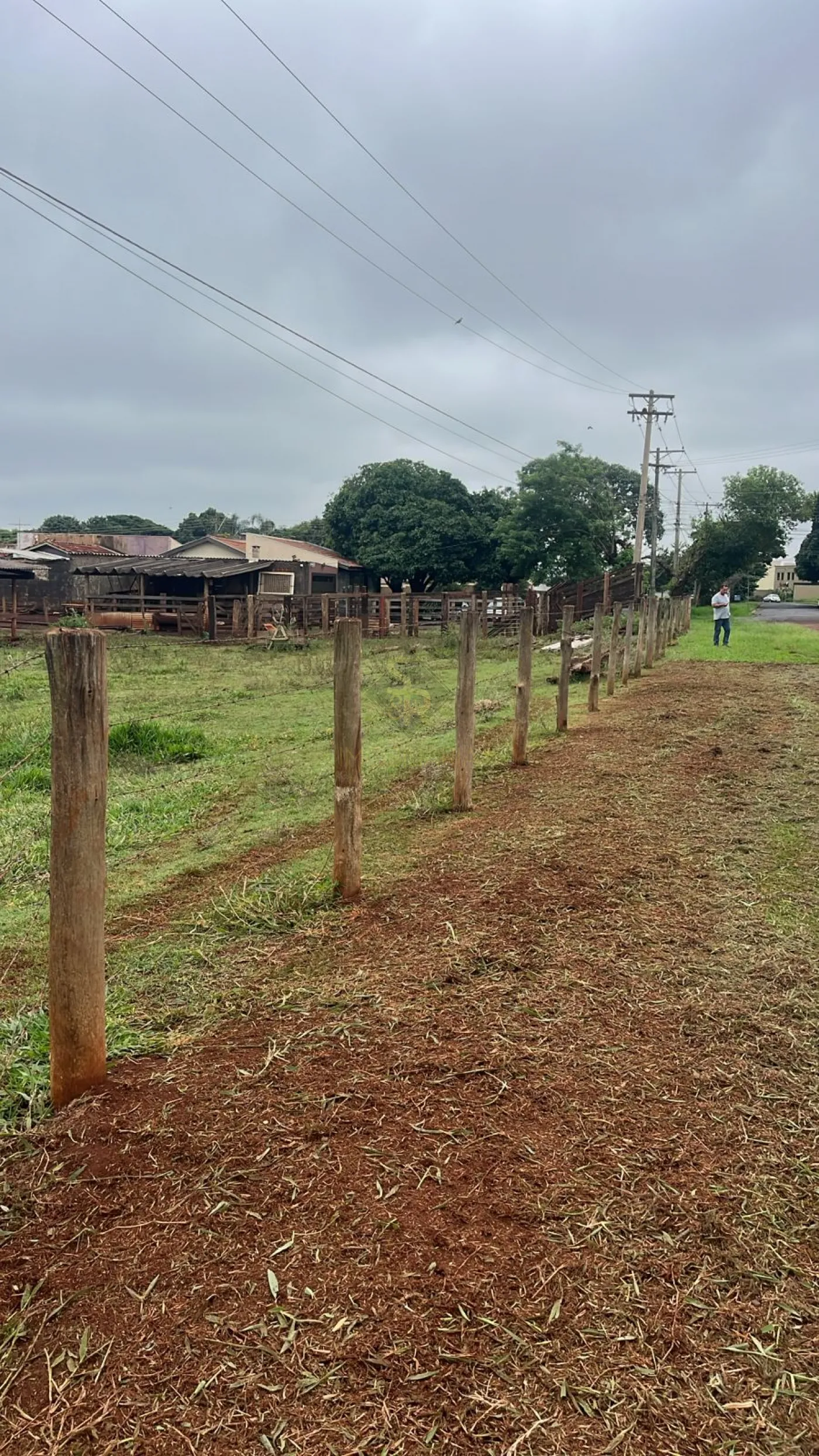 Comprar Terrenos / LoteTerreno em Bonfim Paulista R$ 24.000.000,00 - Foto 7