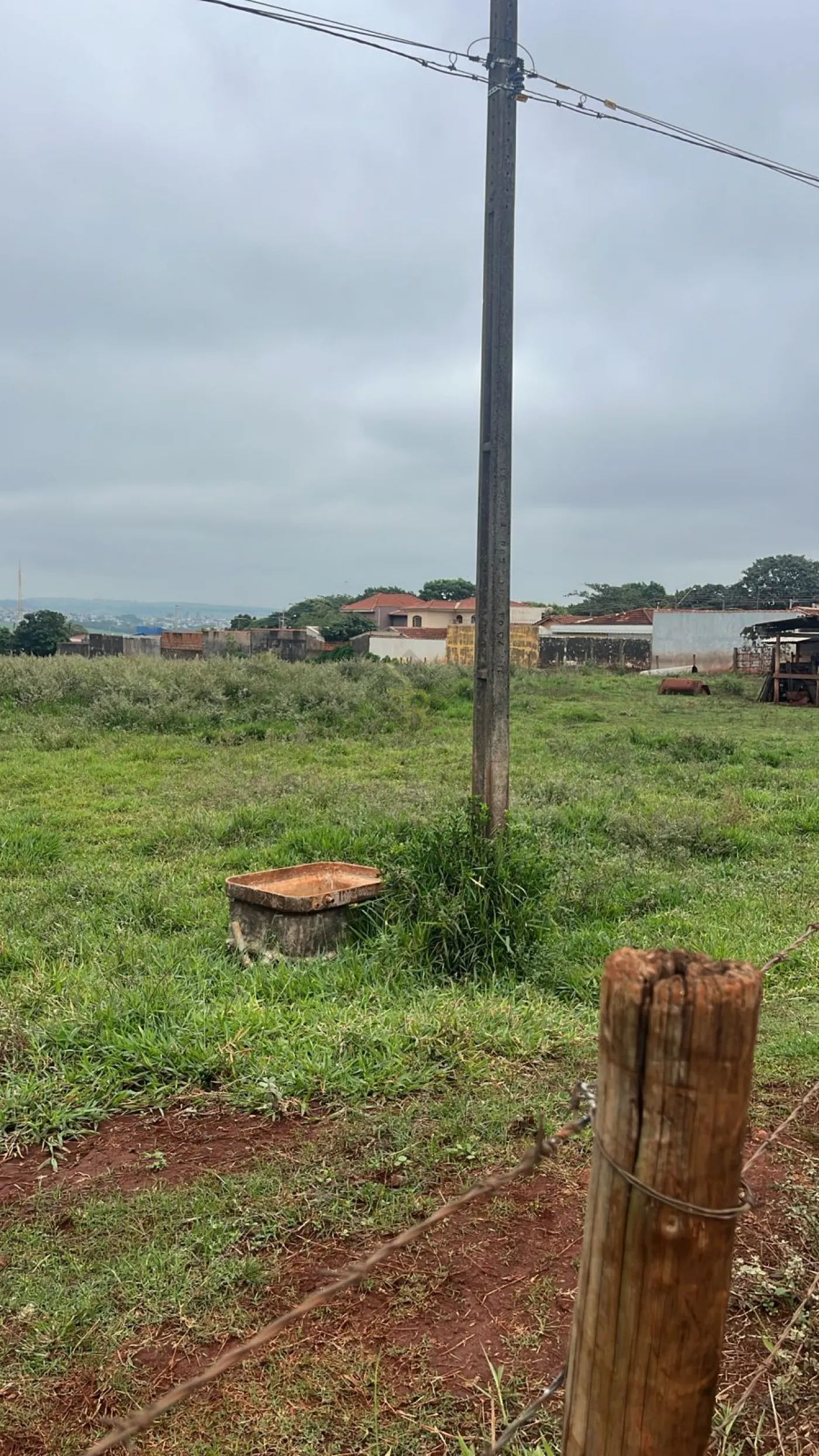 Comprar Terrenos / LoteTerreno em Bonfim Paulista R$ 24.000.000,00 - Foto 8