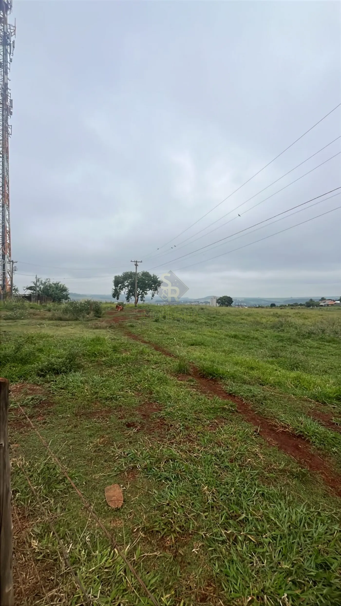 Comprar Terrenos / LoteTerreno em Bonfim Paulista R$ 24.000.000,00 - Foto 9