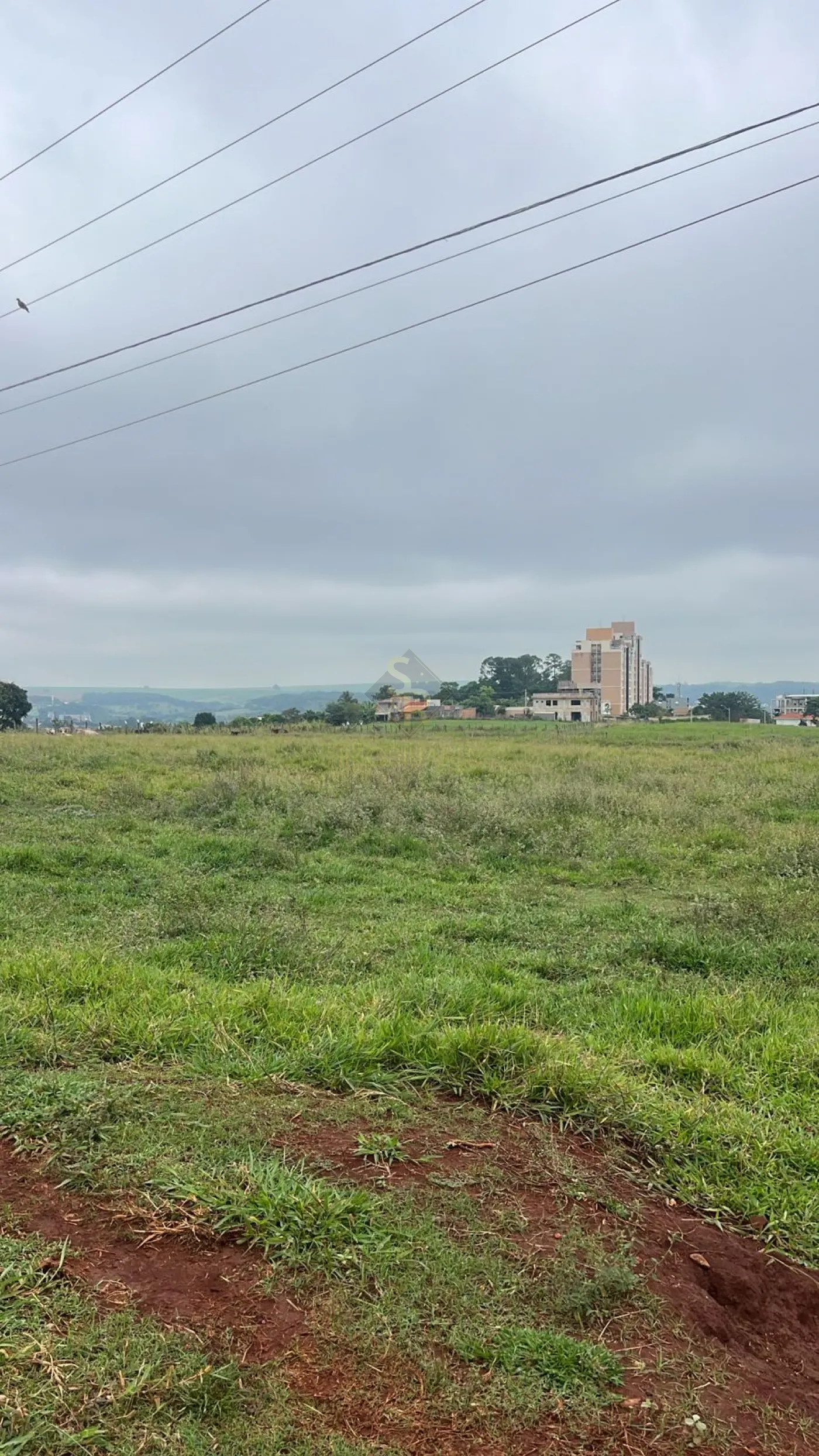 Comprar Terrenos / LoteTerreno em Bonfim Paulista R$ 24.000.000,00 - Foto 10