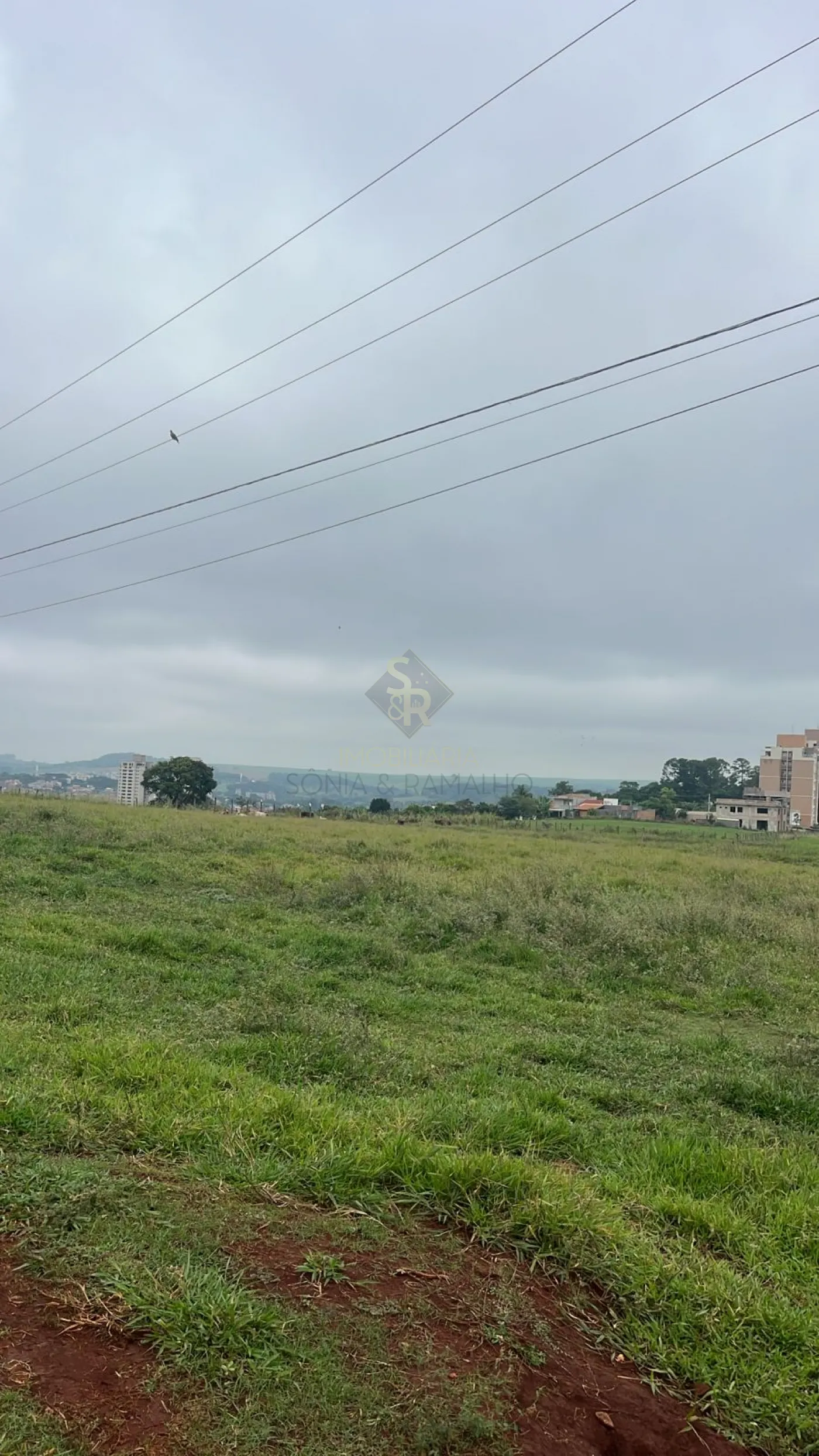 Comprar Terrenos / LoteTerreno em Bonfim Paulista R$ 24.000.000,00 - Foto 11