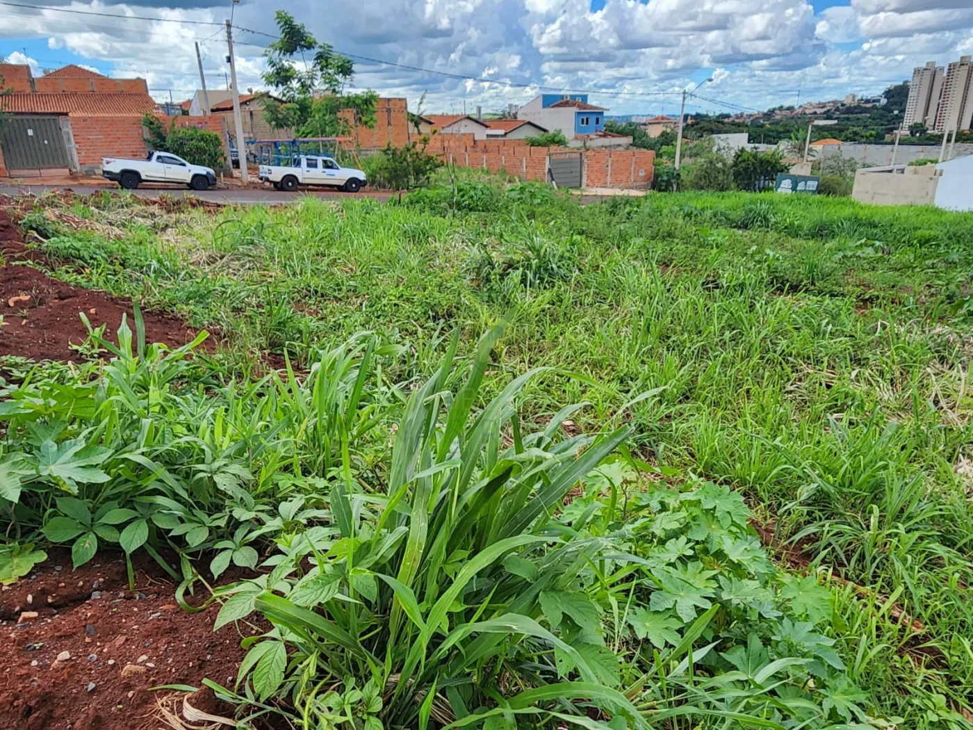 Comprar Terrenos / LoteTerreno em Bonfim Paulista R$ 145.000,00 - Foto 4