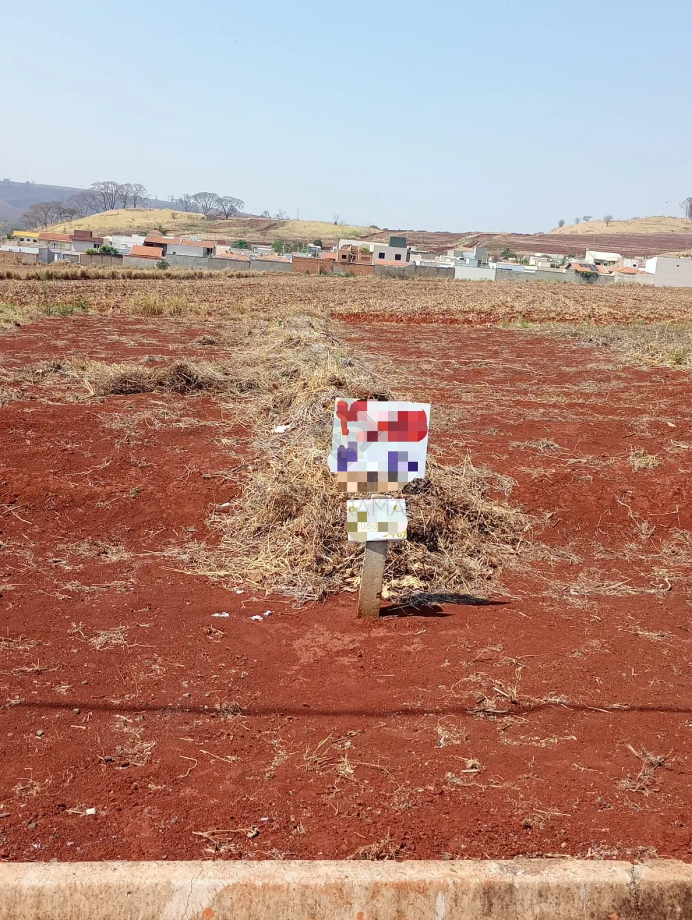 Comprar Terrenos / LoteTerreno em Bonfim Paulista R$ 175.000,00 - Foto 1