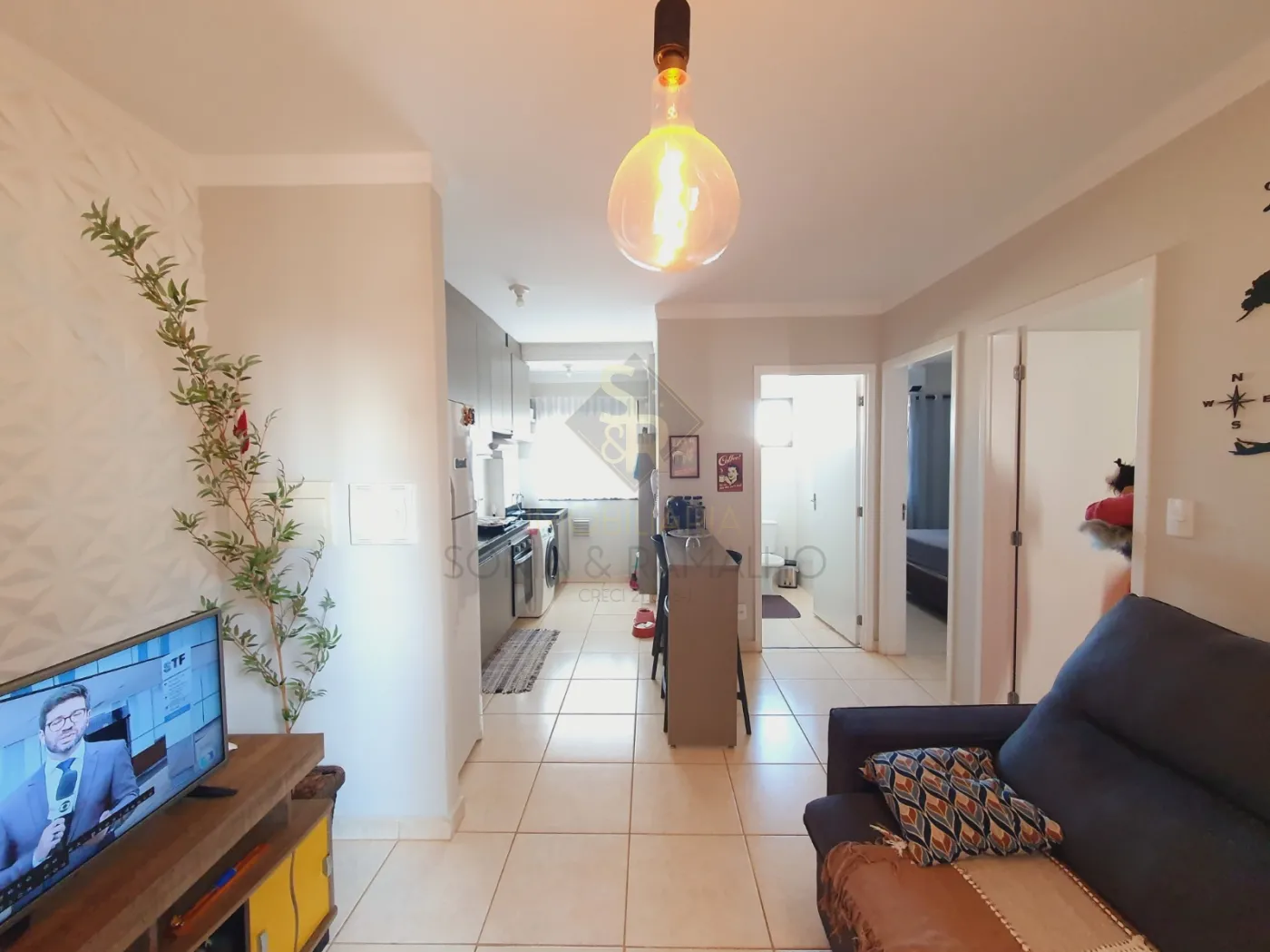 Alugar Apartamentos / Padr&atilde;o em Bonfim Paulista R$ 1.100,00 - Foto 1