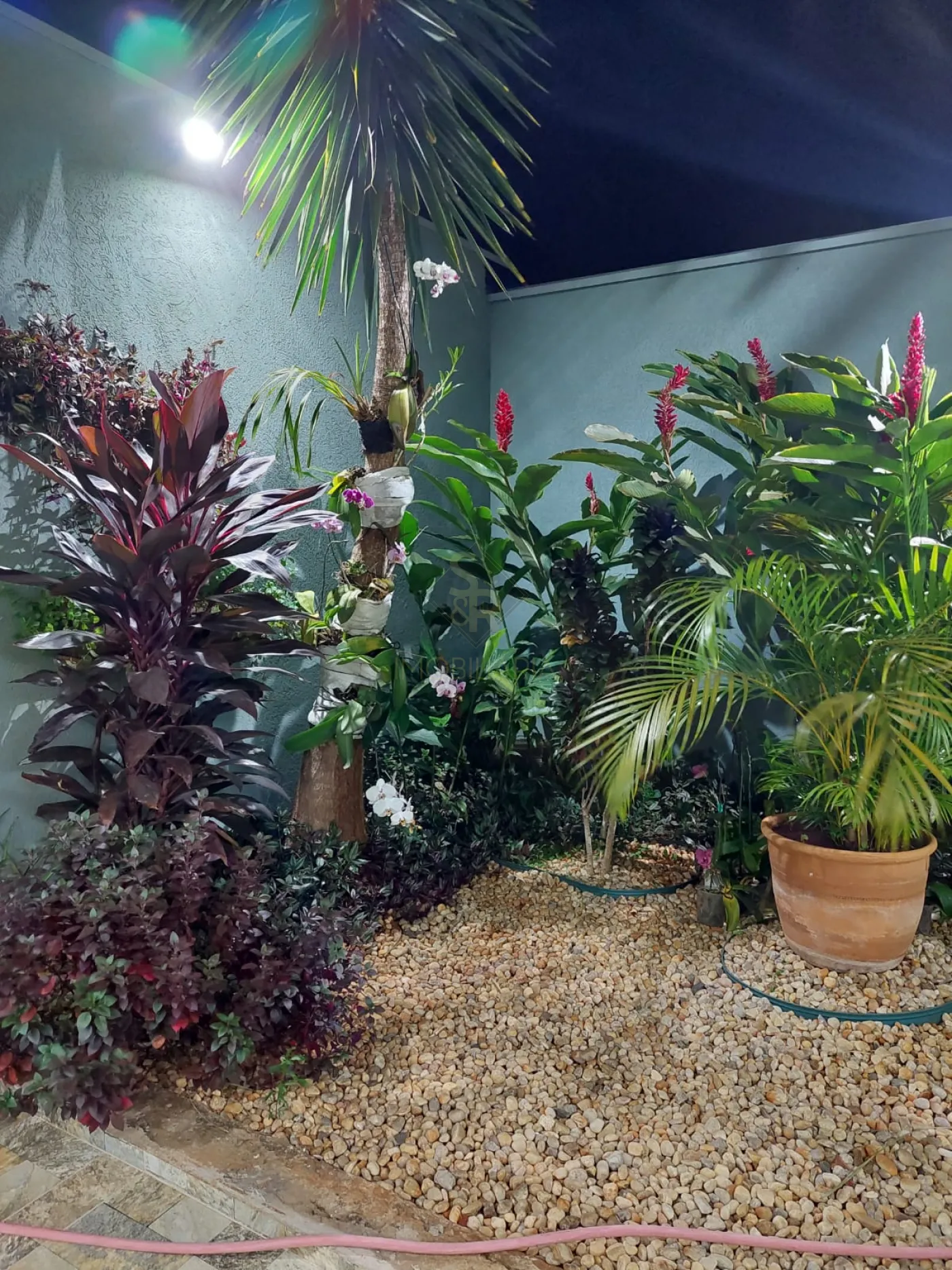 Comprar Casas Residenciais / Padr&atilde;o em Ribeir&atilde;o Preto R$ 700.000,00 - Foto 35