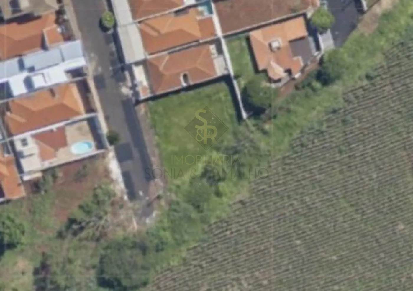 Comprar Terrenos / LoteTerreno em Bonfim Paulista R$ 239.000,00 - Foto 1