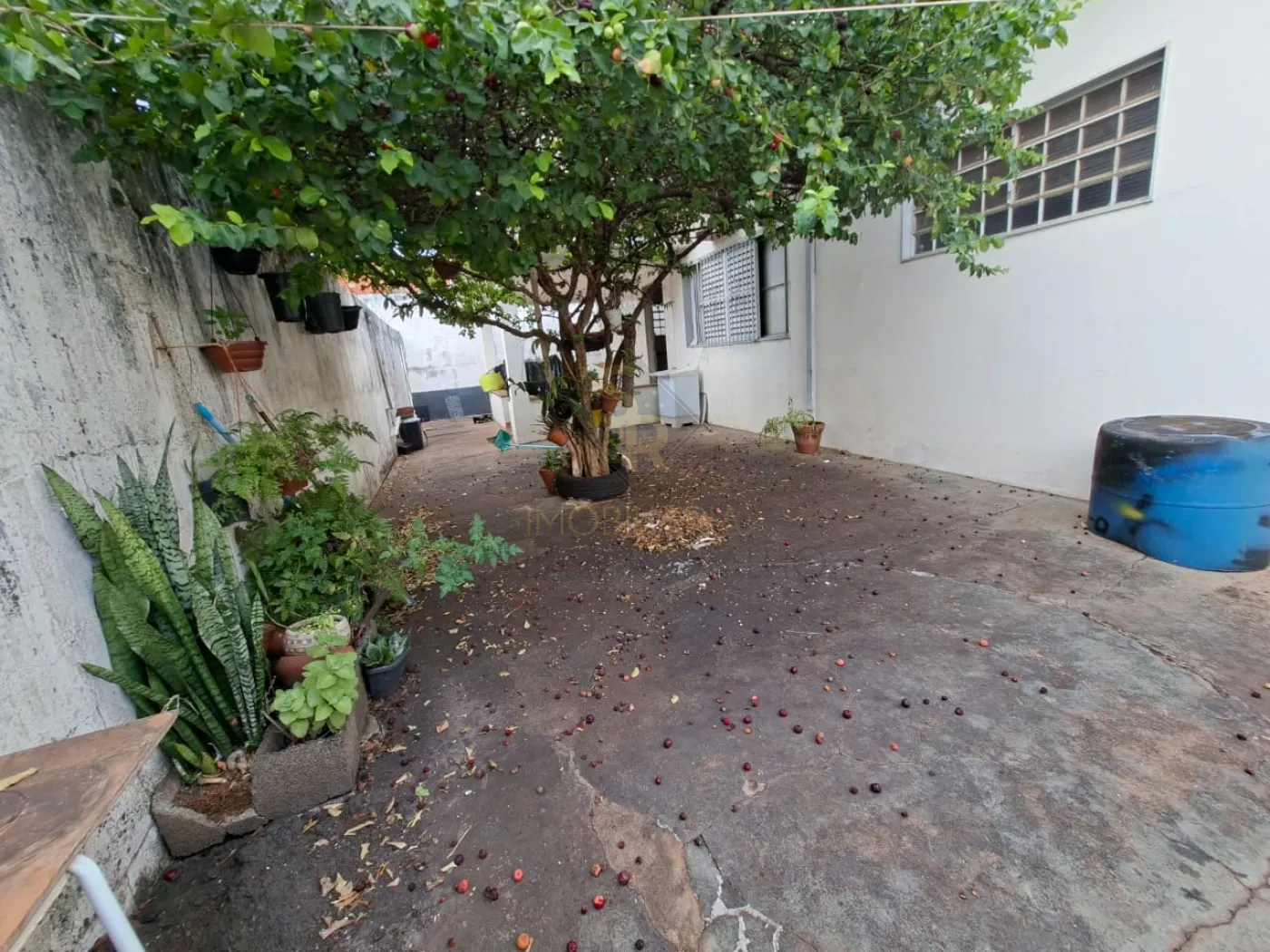 Comprar Casas Residenciais / Padr&atilde;o em Ribeir&atilde;o Preto R$ 450.000,00 - Foto 6