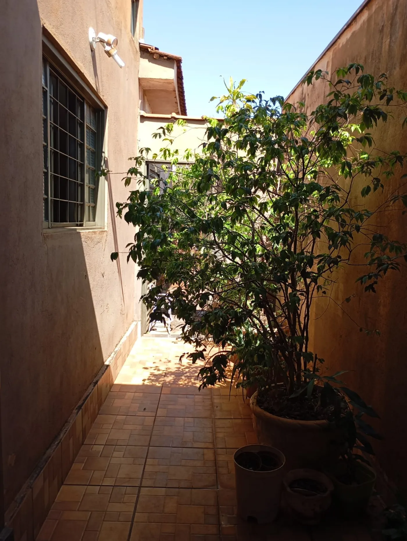 Comprar Casas Residenciais / Padr&atilde;o em Ribeir&atilde;o Preto R$ 290.000,00 - Foto 14