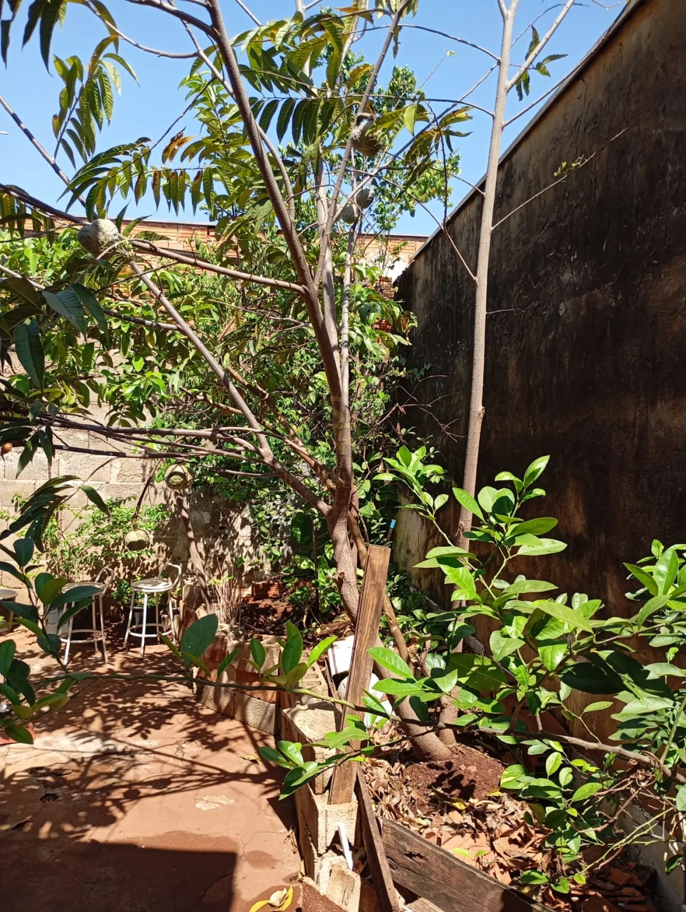 Comprar Casas Residenciais / Padr&atilde;o em Ribeir&atilde;o Preto R$ 290.000,00 - Foto 25