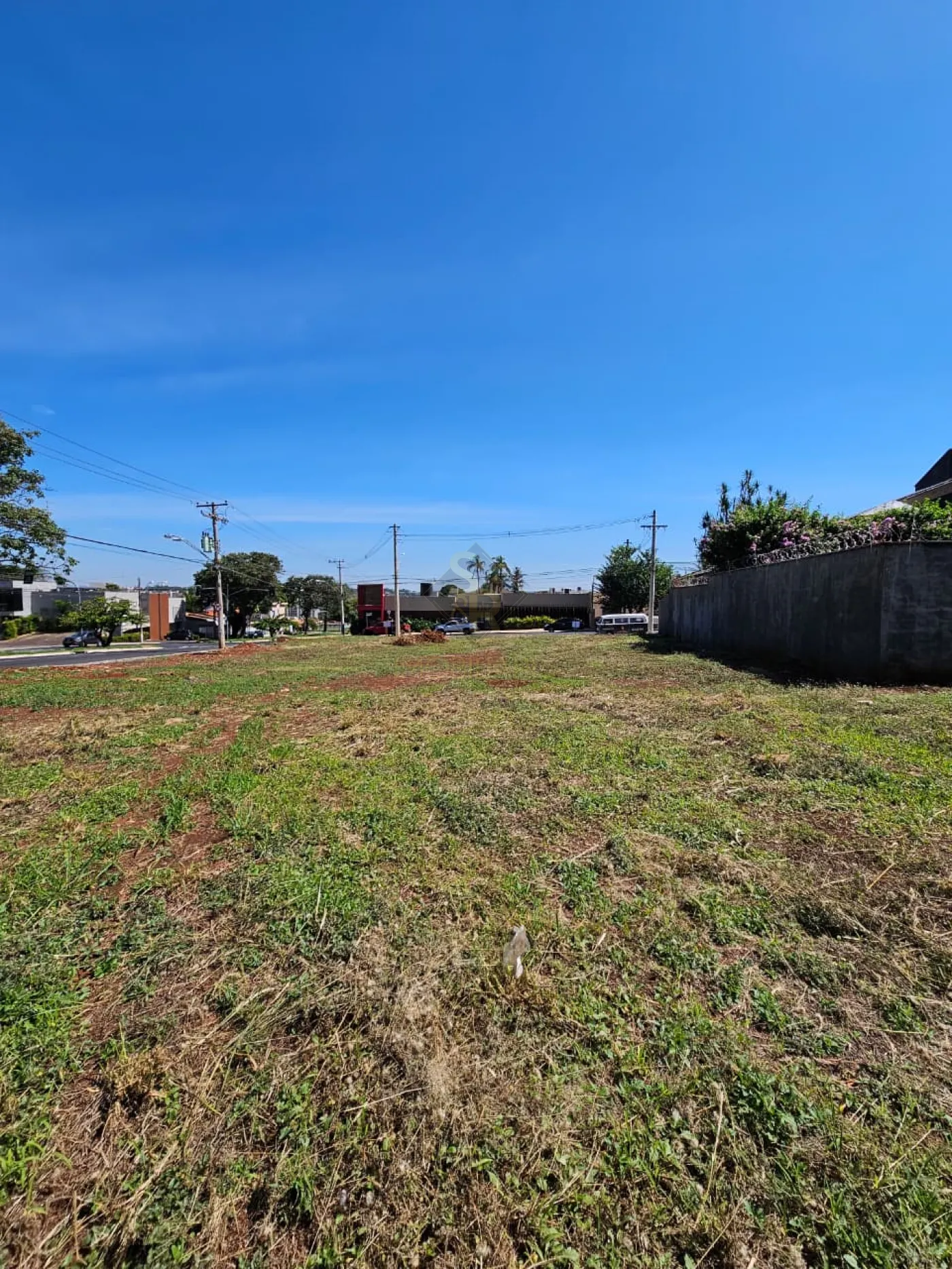 Comprar Terrenos / LoteTerreno em Ribeir&atilde;o Preto R$ 3.000.000,00 - Foto 5