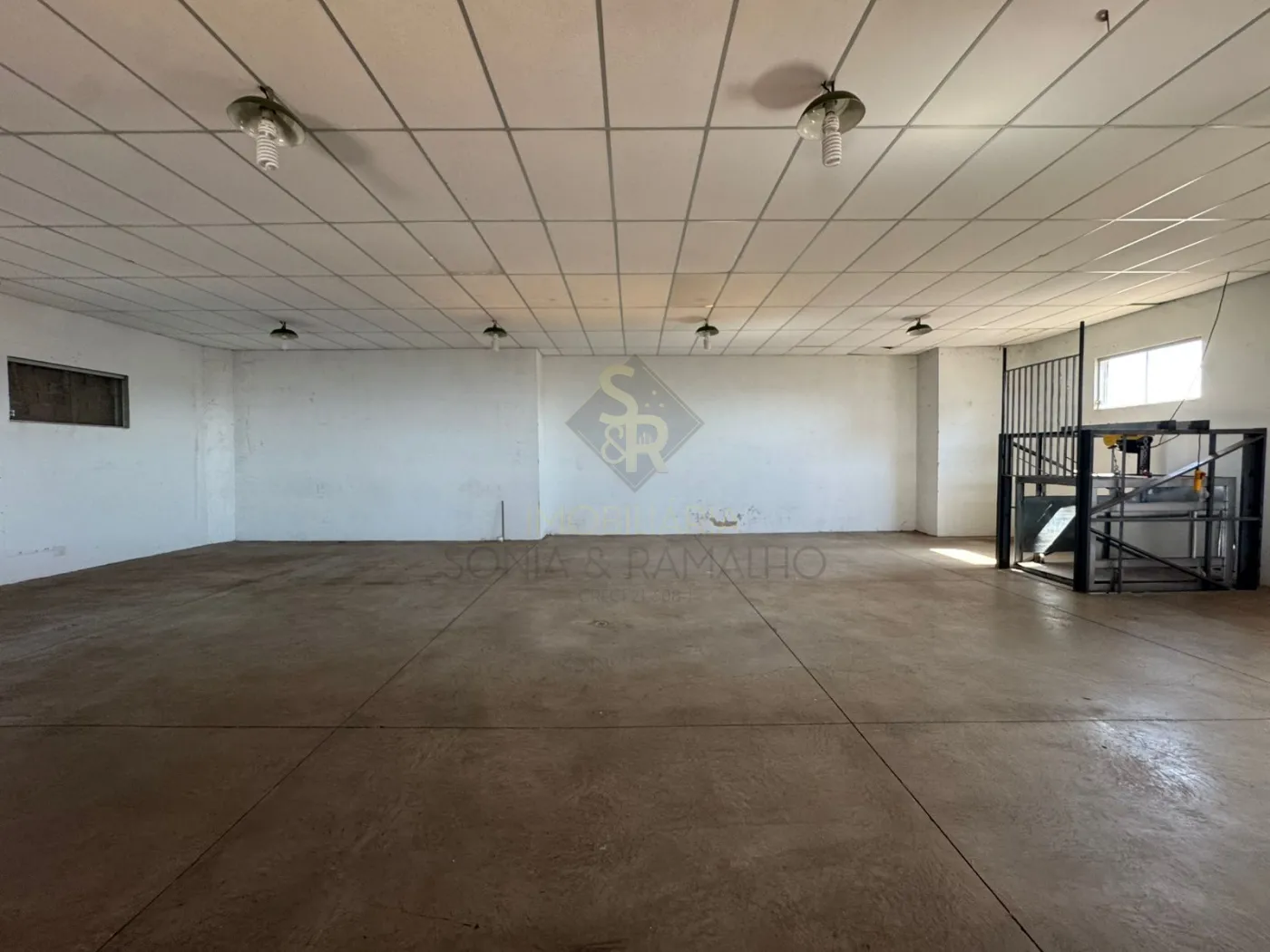 Alugar Im&oacute;veis Comerciais / Galp&atilde;o Comercial em Ribeir&atilde;o Preto R$ 8.000,00 - Foto 6