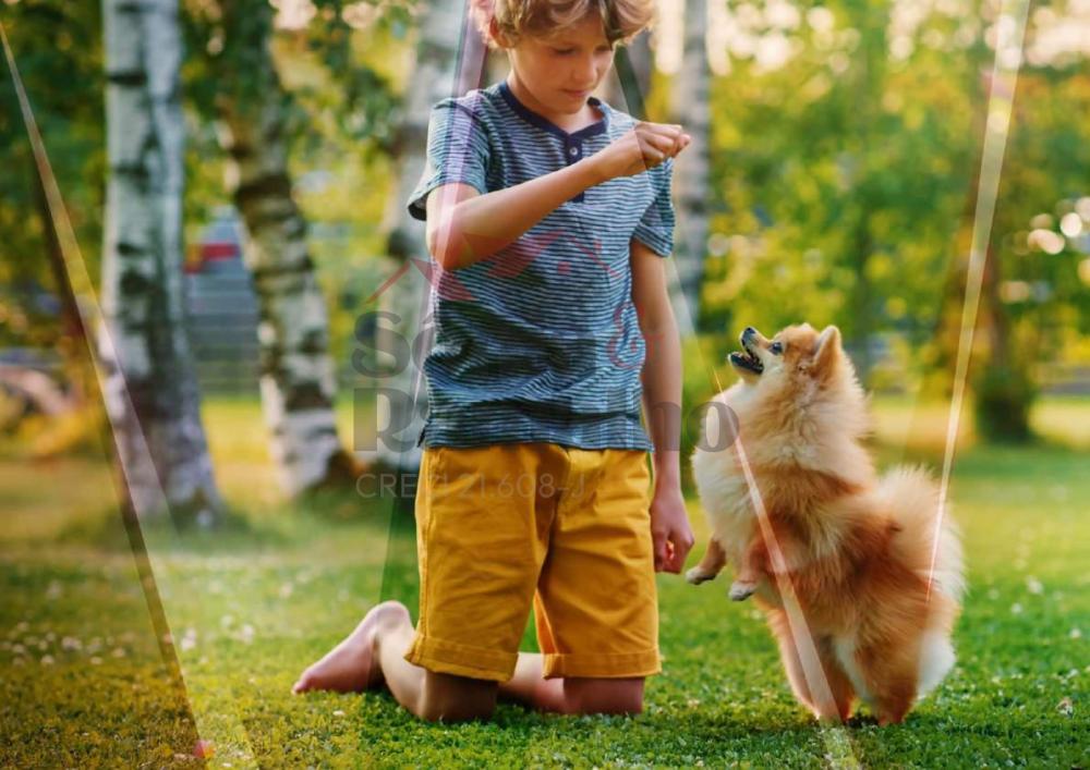 Comprar Apartamentos / Padr&atilde;o em Ribeir&atilde;o Preto R$ 510.000,00 - Foto 9