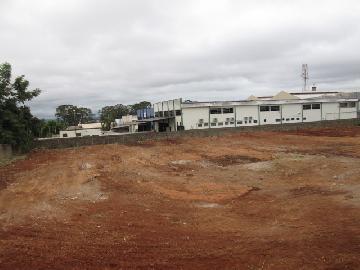 Ribeirao Preto Lagoinha imoveis comerciais Locacao R$ 8.000,00  Area do terreno 5000.00m2 