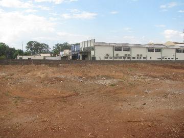 Ribeirao Preto Lagoinha terrenos Locacao R$ 8.000,00  Area do terreno 5000.00m2 