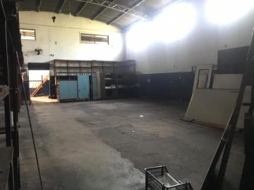 Ribeirao Preto Jardim do Trevo imoveis comerciais Venda R$700.000,00  Area do terreno 390.00m2 Area construida 390.00m2