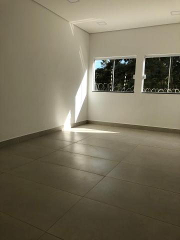 Ribeirao Preto Jardim Sao Luiz imoveis comerciais Venda R$1.300.000,00  Area do terreno 250.00m2 