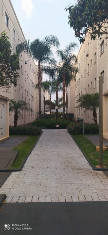 Ribeirao Preto Jardim Palmeiras Apartamento Venda R$125.000,00 Condominio R$275,00 2 Dormitorios 1 Vaga Area do terreno 47.00m2 