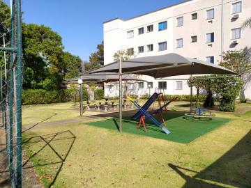 Ribeirao Preto Jardim Palmeiras Apartamento Venda R$150.000,00 2 Dormitorios 1 Vaga 