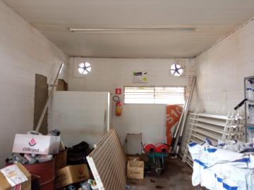 Ribeirao Preto Vila Brasil imoveis comerciais Locacao R$ 1.000,00  Area do terreno 55.00m2 