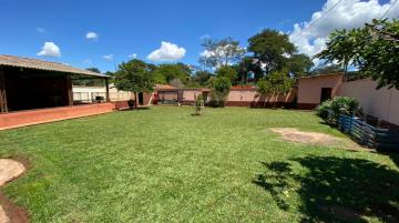 Ribeirao Preto Jardim Palmeiras chacarasimoveis rurais Venda R$830.000,00 3 Dormitorios 50 Vagas Area construida 1890.00m2