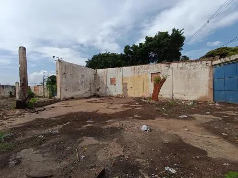 Ribeirao Preto Vila Brasil terrenos Locacao R$ 3.500,00  Area do terreno 1158.00m2 