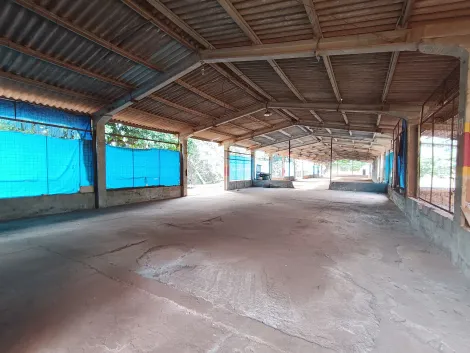 Ribeirao Preto Lagoinha imoveis comerciais Locacao R$ 10.000,00 