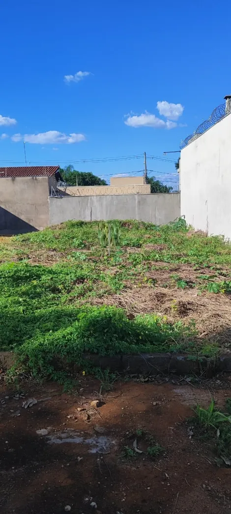 Ribeirao Preto Parque das Oliveiras terrenos Venda R$145.000,00  Area do terreno 160.00m2 