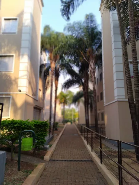 Ribeirao Preto Sumarezinho Apartamento Venda R$215.000,00 Condominio R$300,00 2 Dormitorios 1 Vaga Area do terreno 45.00m2 