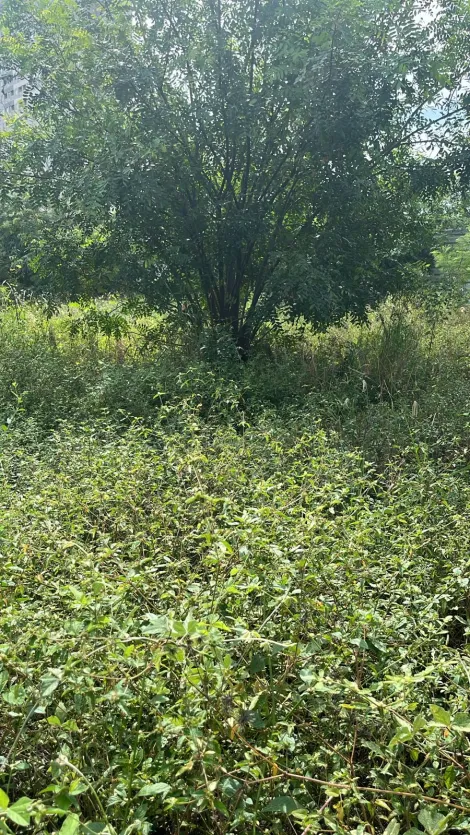 Ribeirao Preto Lagoinha terrenos Venda R$1.920.000,00  Area do terreno 1750.00m2 