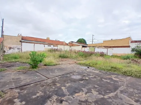 Ribeirao Preto Vila Tiberio terrenos Venda R$1.500.000,00  Area do terreno 725.00m2 