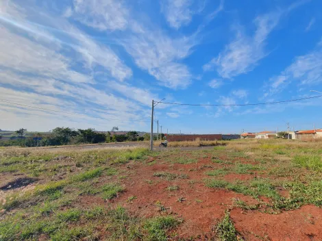 Cravinhos Terras de Cravinhos terrenos Venda R$75.900,75  Area do terreno 160.00m2 