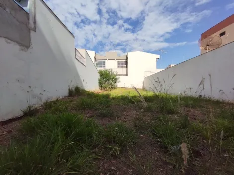 Ribeirao Preto Parque dos Bandeirantes terrenos Venda R$250.000,00  Area do terreno 250.00m2 