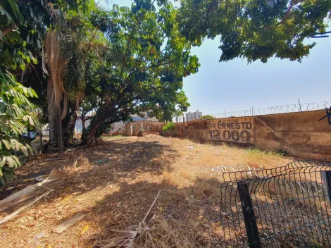 Ribeirao Preto Jardim Sao Luiz terrenos Venda R$1.600.000,00  Area do terreno 300.00m2 