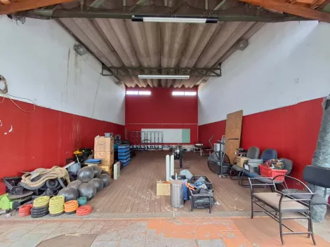 Ribeirao Preto Sumarezinho imoveis comerciais Locacao R$ 1.100,00 