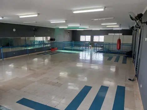 Ribeirao Preto Parque Anhanguera imoveis comerciais Locacao R$ 12.000,00  Area do terreno 250.00m2 