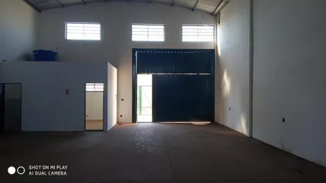 Ribeirao Preto Vila Brasil imoveis comerciais Locacao R$ 5.000,00  Area do terreno 363.00m2 Area construida 343.00m2