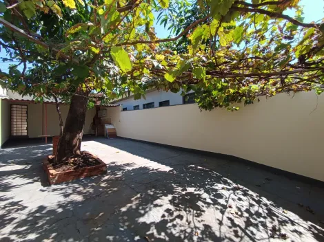 Ribeirao Preto Sumarezinho casas residenciais Locacao R$ 1.600,00 3 Dormitorios 3 Vagas Area do terreno 250.00m2 Area construida 82.49m2