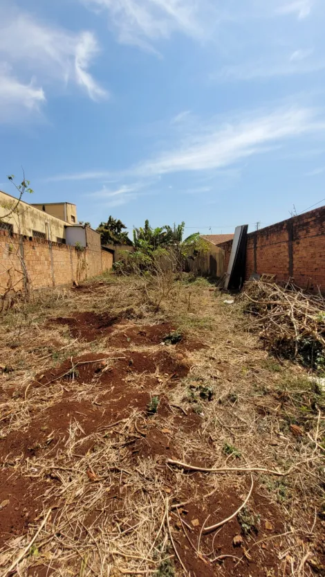 Ribeirao Preto Parque das Figueiras terrenos Venda R$265.000,00  Area do terreno 290.00m2 