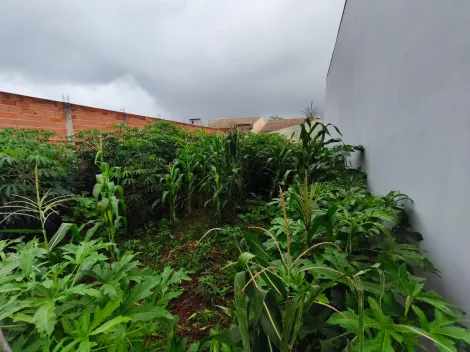 Ribeirao Preto Parque das Oliveiras terrenos Venda R$142.000,00  Area do terreno 160.00m2 