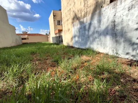 Ribeirao Preto Lagoinha terrenos Venda R$420.000,00  Area do terreno 302.00m2 
