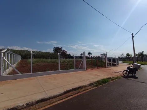 Ribeirao Preto Parque das Oliveiras terrenos Locacao R$ 18.000,00  Area do terreno 4268.48m2 
