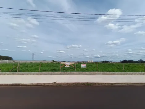 Ribeirao Preto Parque das Oliveiras terrenos Venda R$830.000,00  Area do terreno 1372.00m2 