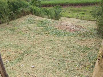 Sao Jose do Rio Pardo Parque Sao Domingos Terreno Venda R$110.000,00  Area do terreno 324.00m2 