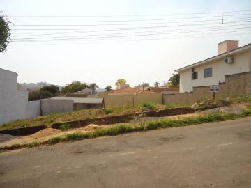 Sao Jose do Rio Pardo Jardim Luciana Terreno Venda R$212.000,00  Area do terreno 300.00m2 