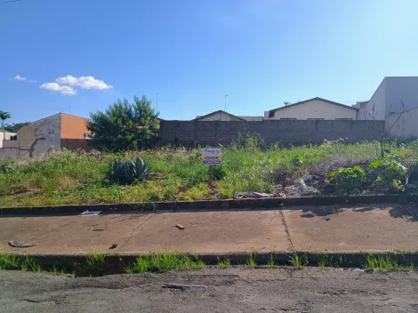 Sao Jose do Rio Pardo Vila Verde Terreno Venda R$133.000,00  Area do terreno 297.00m2 