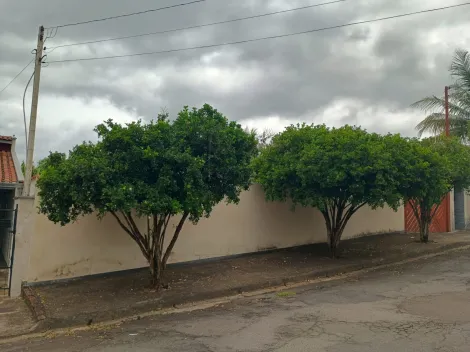 Sao Jose do Rio Pardo Jardim Eunice Terreno Venda R$106.000,00  Area do terreno 312.00m2 