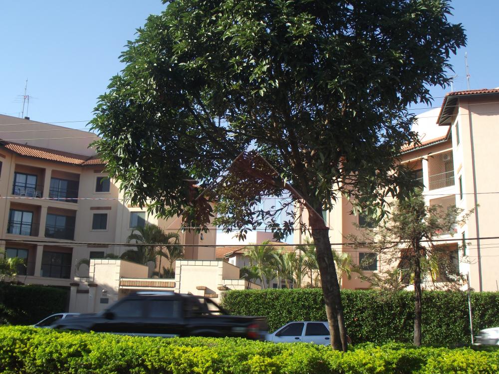 Alugar Apartamentos / Apartamento em Ribeir&atilde;o Preto R$ 800,00 - Foto 18