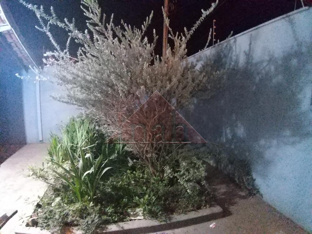 Alugar Casas / Casa em Ribeir&atilde;o Preto R$ 900,00 - Foto 10