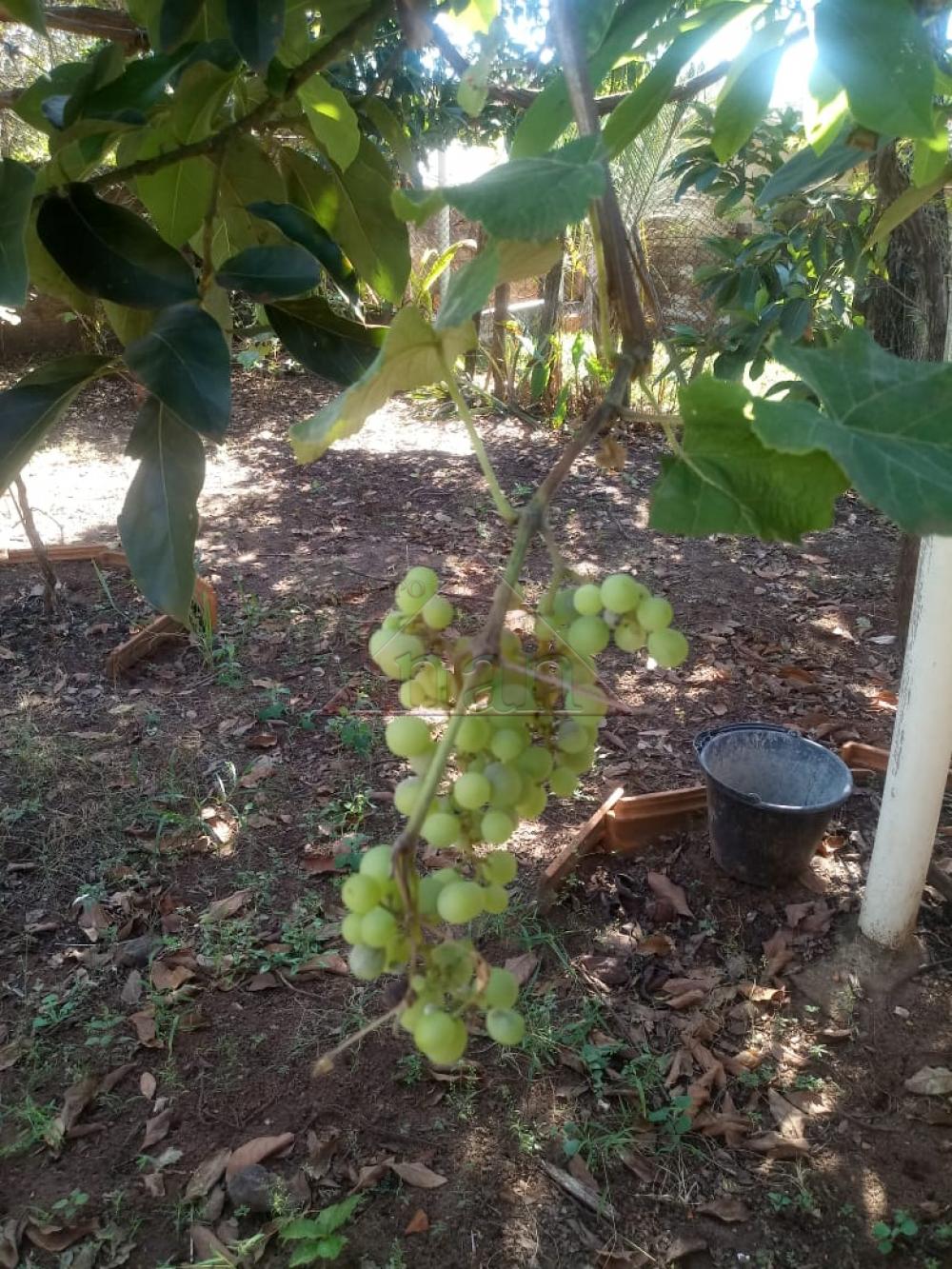 Comprar Casas / Casa em Serra Azul R$ 155.000,00 - Foto 11